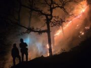 El foc crema 1,8 hectàrees a Osona entre Santa Maria de Besora i Vidrà