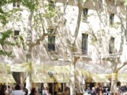 Lactium 2026 finalitza amb una valoració excel·lent i es consolida com a referent del sector del formatge català