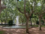 Les visites guiades de maig se centren en els arbres de Vic