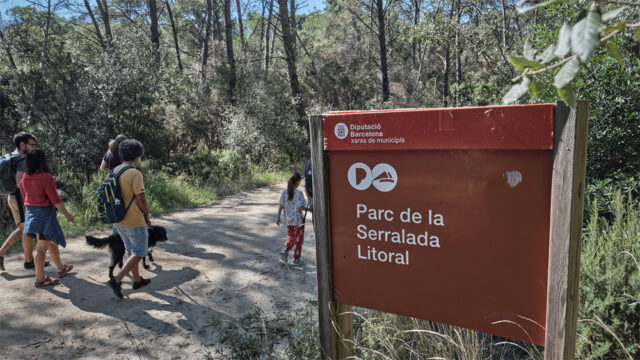 noticia_1782220686.jpg