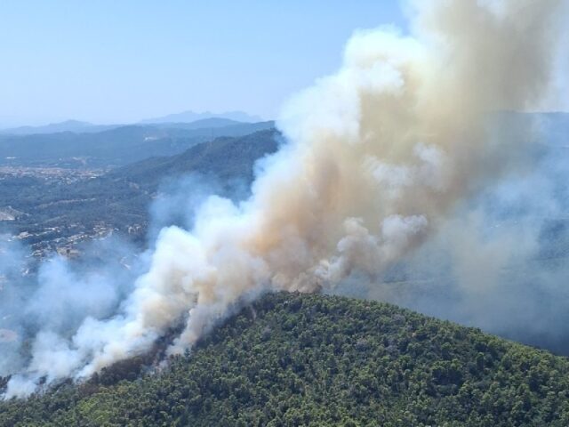 noticia_1783355643.jpg