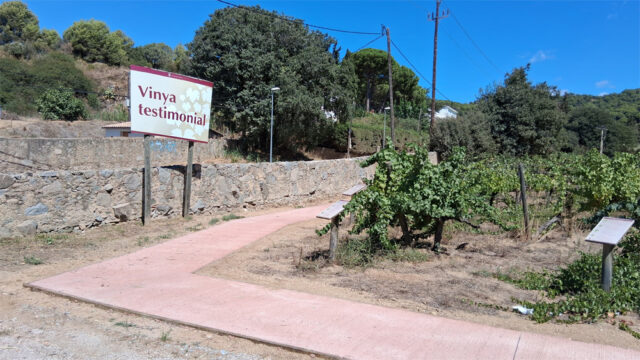 noticia_1789565330.jpg