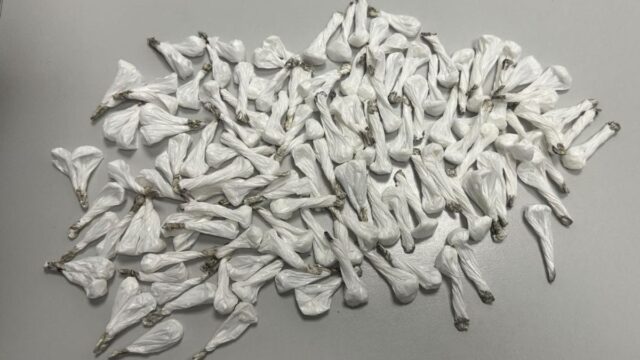 Imatge dels embolcalls de cocaïna amagats al pàrquing comunitari a Vic (Mossos d'Esquadra)