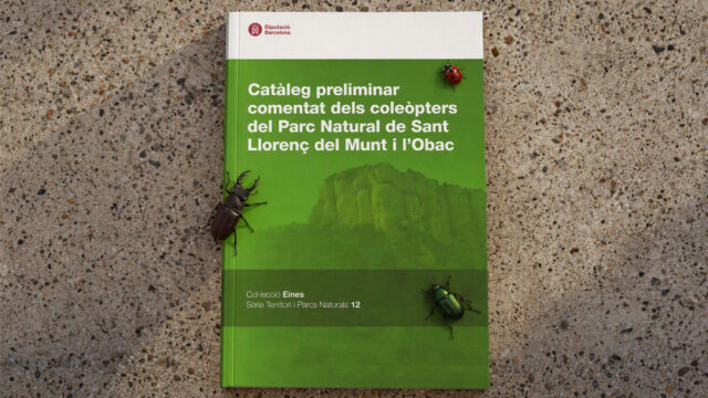 noticia_1793110678.jpg